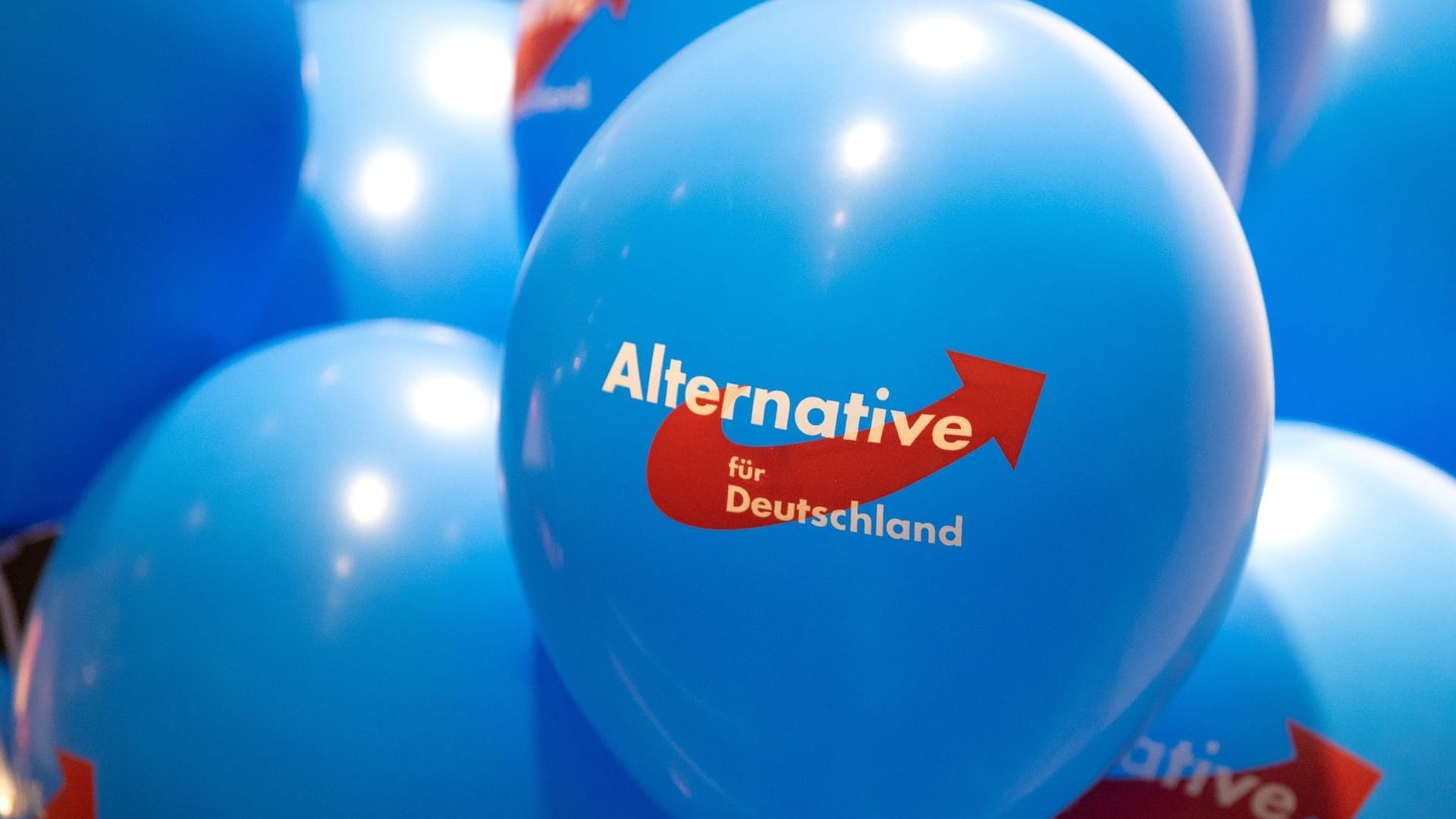 Landesparteitag der AfD