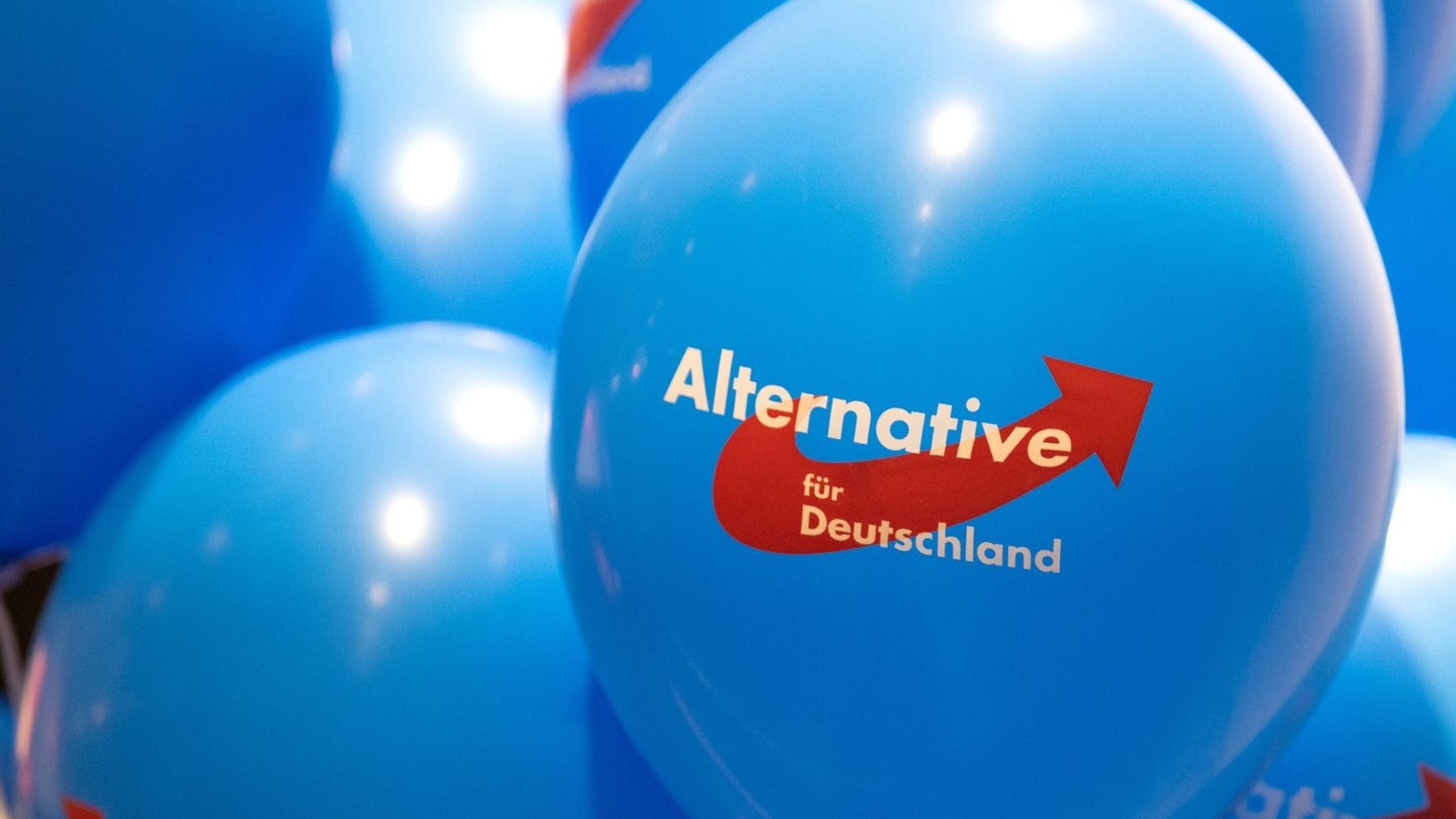 Landesparteitag der AfD