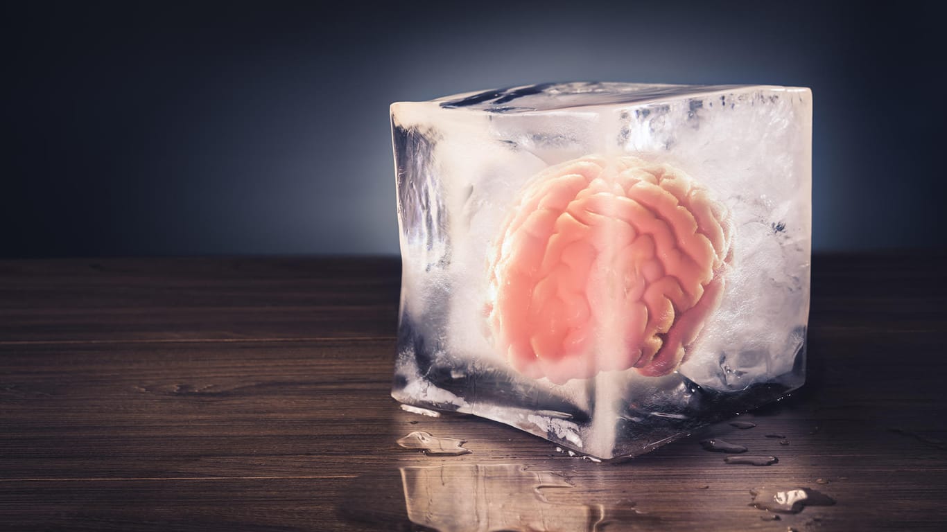 Gehirn im Eiswürfel - Animation.