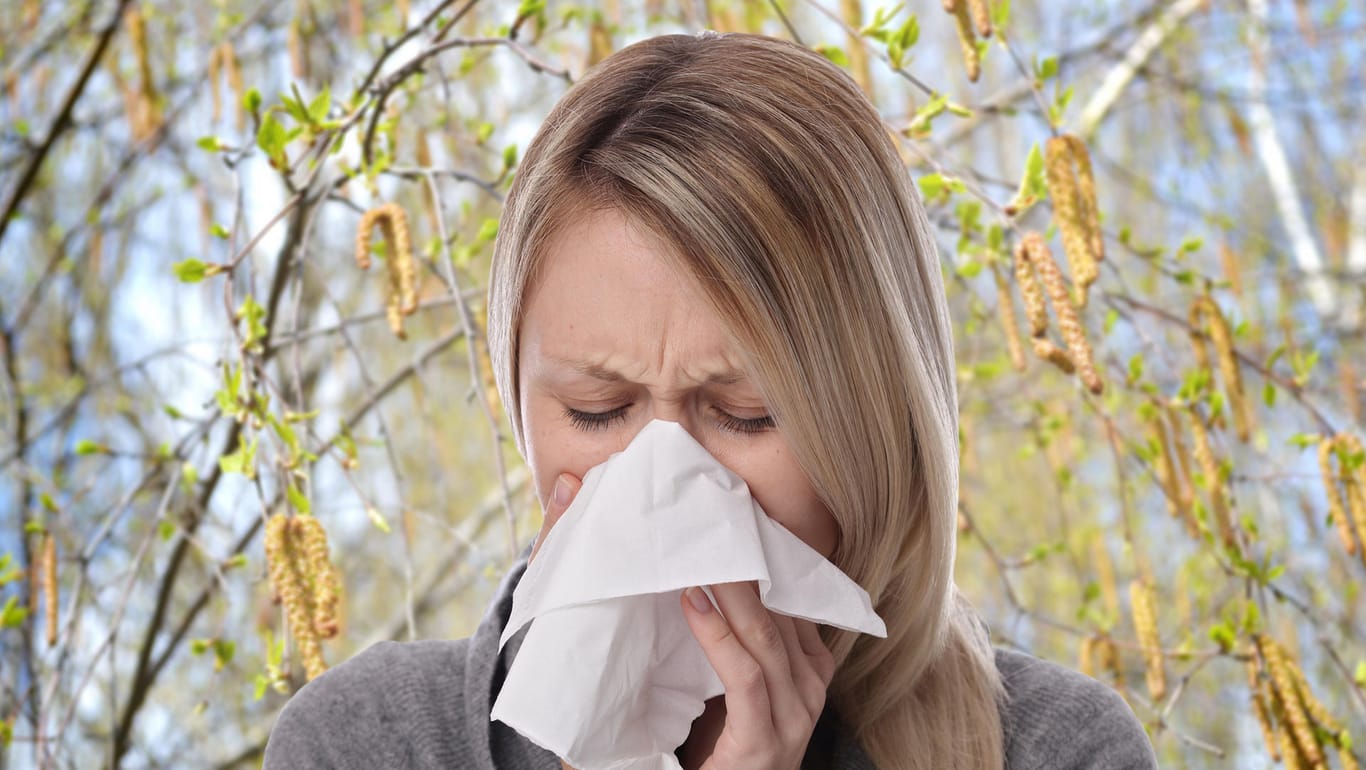 Pollenallergie: Zwischen 15 und 20 Prozent der Deutschen und damit mindestens zwölf Millionen Menschen leiden an Heuschnupfen.