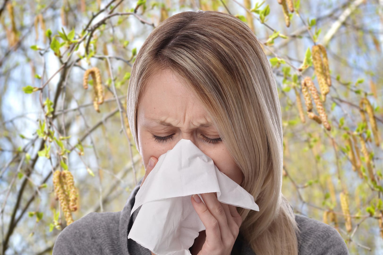 Pollenallergie: Zwischen 15 und 20 Prozent der Deutschen und damit mindestens zwölf Millionen Menschen leiden an Heuschnupfen.