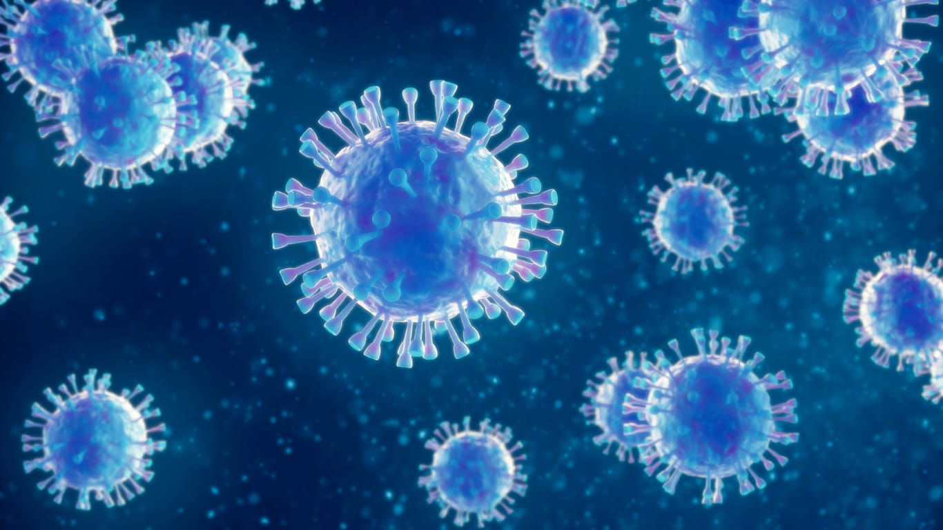 Viruszellen: BoDV-1 kommt in Deutschland in Bayern, Thüringen, Sachsen-Anhalt und angrenzenden Teilen benachbarter Bundesländer vor.