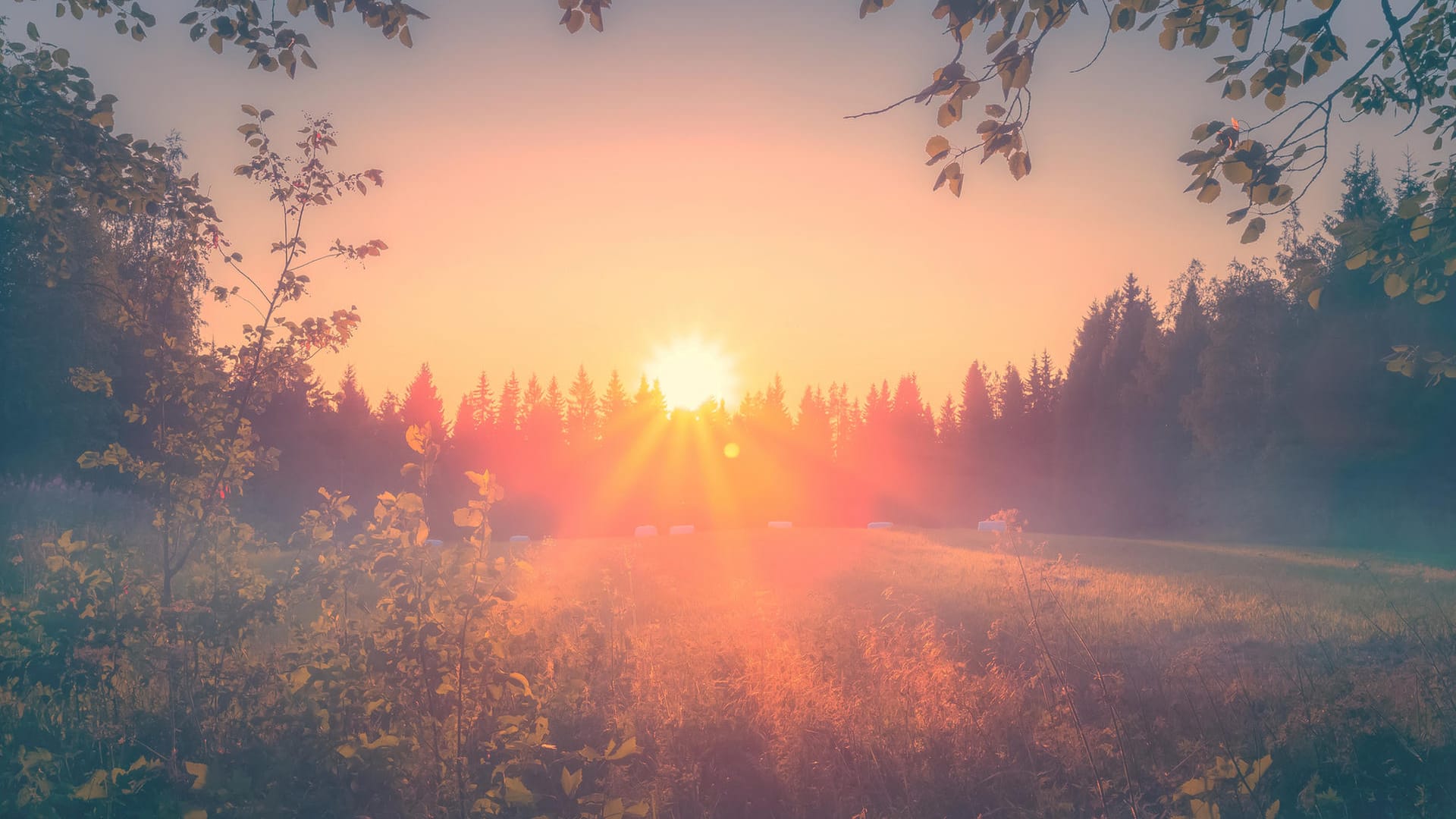 Sommersonnenwende: Um den Termin der Sommersonnenwende herum wird es in den skandinavischen Ländern nachts kaum dunkel.