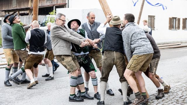 Das schafft keiner alleine: Mitglieder der Burschenschaft Perchting stellen mit Hilfe von "Schwalben", mit Seilen verknoteten Stöcken, einen Maibaum am Dorfplatz von Perchting auf.