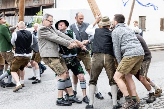 Das schafft keiner alleine: Mitglieder der Burschenschaft Perchting stellen mit Hilfe von "Schwalben", mit Seilen verknoteten Stöcken, einen Maibaum am Dorfplatz von Perchting auf.