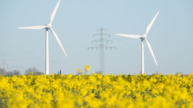 Zwei Windräder und eine Hochspannungsleitung stehen hinter einem blühenden Rapsfeld im Landkreis Hildesheim.