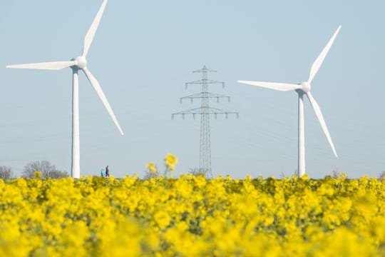 Zwei Windräder und eine Hochspannungsleitung stehen hinter einem blühenden Rapsfeld im Landkreis Hildesheim.