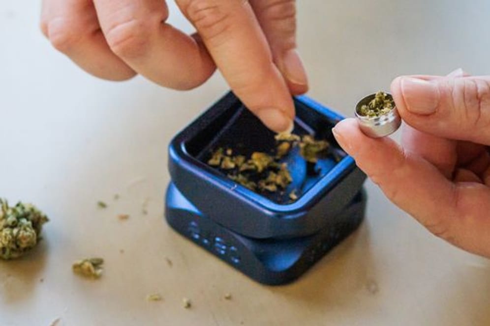 Cannabis wird für den Konsum vorbereitet - hier zu medizinischen Zwecken.