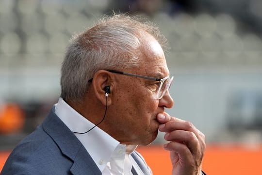 Hertha-Coach Felix Magath will nach der Saison über seine Zukunft entscheiden.