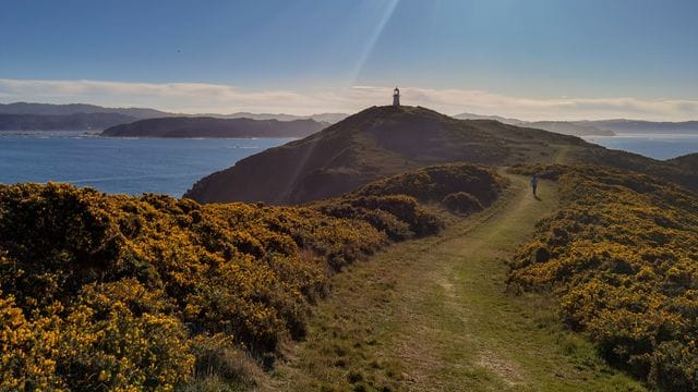 Die Küste in Eastbourne bei Wellington. Die Küste in Eastbourne bei Wellington.