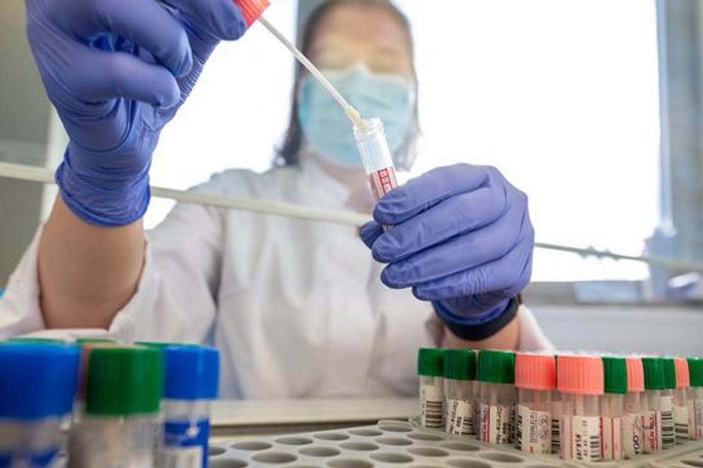 Eine Mitarbeiterin im Medizinischen Labor Ostsachsen wertet PCR-Tests aus.
