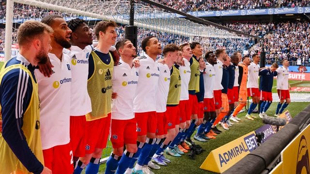 Der Hamburger SV kann am letzten Spieltag der Saison den Aufstieg in die erste Bundesliga schaffen.