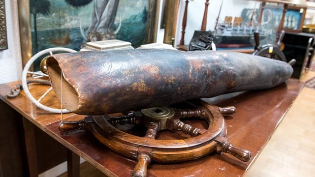 Die rund 1,5 Meter lange Spitze eines Walpenis aus der "Oevelgönner Seekiste" wird versteigert. Die rund 1,5 Meter lange Spitze eines Walpenis aus der "Oevelgönner Seekiste" wird versteigert.