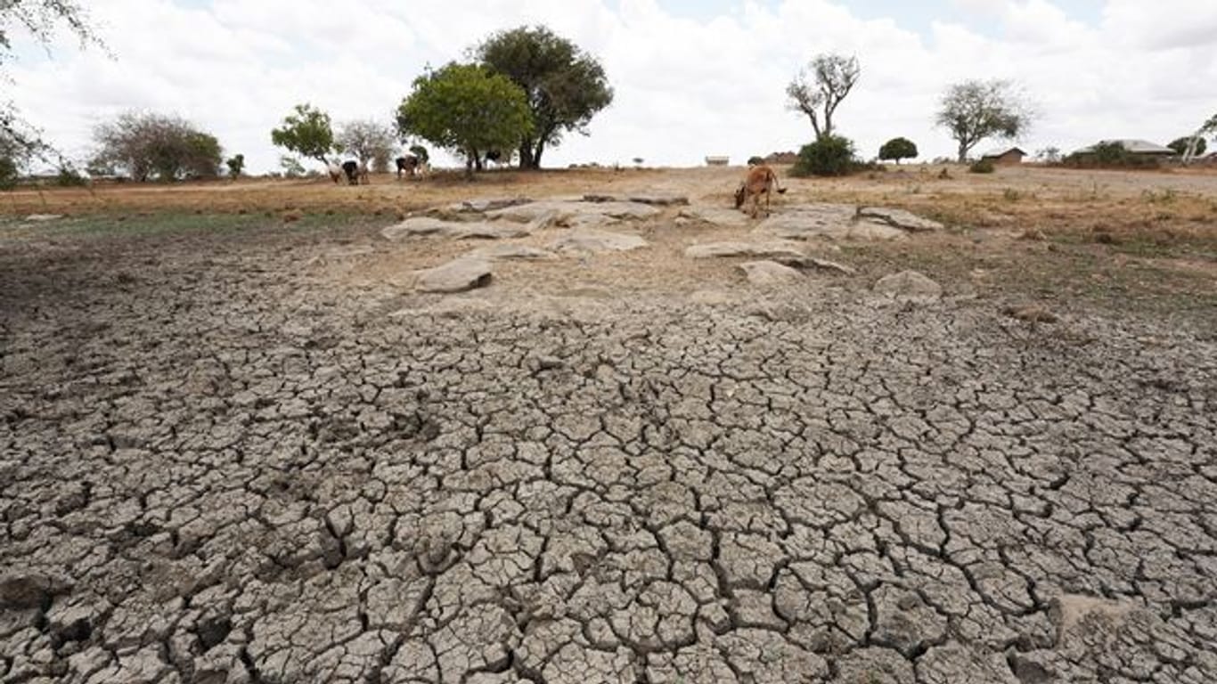 Seit Monaten dauert in Somalia, Kenia und Äthiopien eine schwere Dürre an.