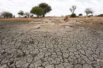 Seit Monaten dauert in Somalia, Kenia und Äthiopien eine schwere Dürre an.