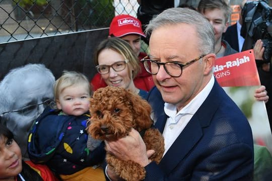 Der australische Oppositionsführer Anthony Albanese wird nach Zahlen des Fernsehsenders ABC der künftige Premierminister des Landes.