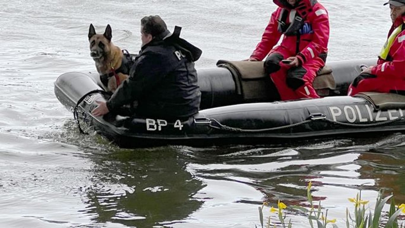 Einsatzkräfte sind mit einem Boot der Polizei im Uferbereich der Donau unterwegs.