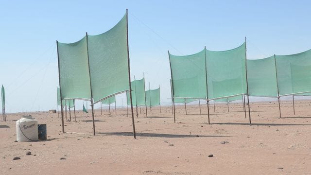 Mit Hilfe von hunderten Netzen fangen Bauern in Peru den Nebel auf, um Wasser für die Landwirtschaft zu gewinnen.