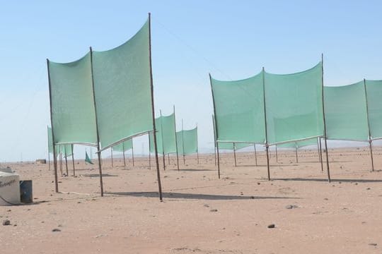 Mit Hilfe von hunderten Netzen fangen Bauern in Peru den Nebel auf, um Wasser für die Landwirtschaft zu gewinnen.