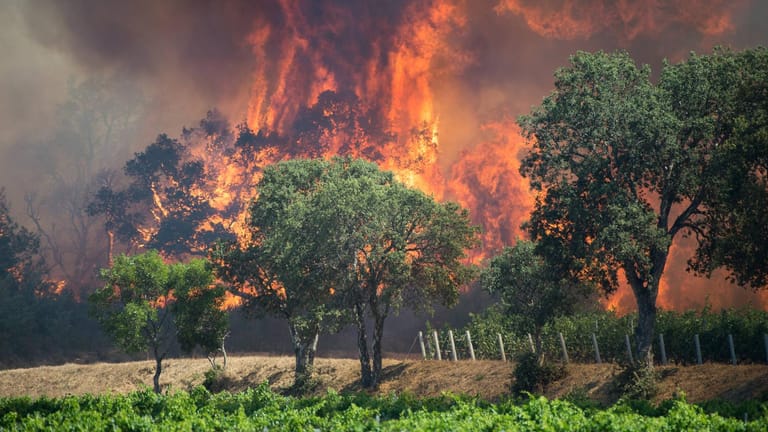 Waldbrände wie hier im französischen Borme-les-Mimosas werden künftig zunehmen.