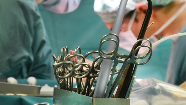 Organspende Organspende