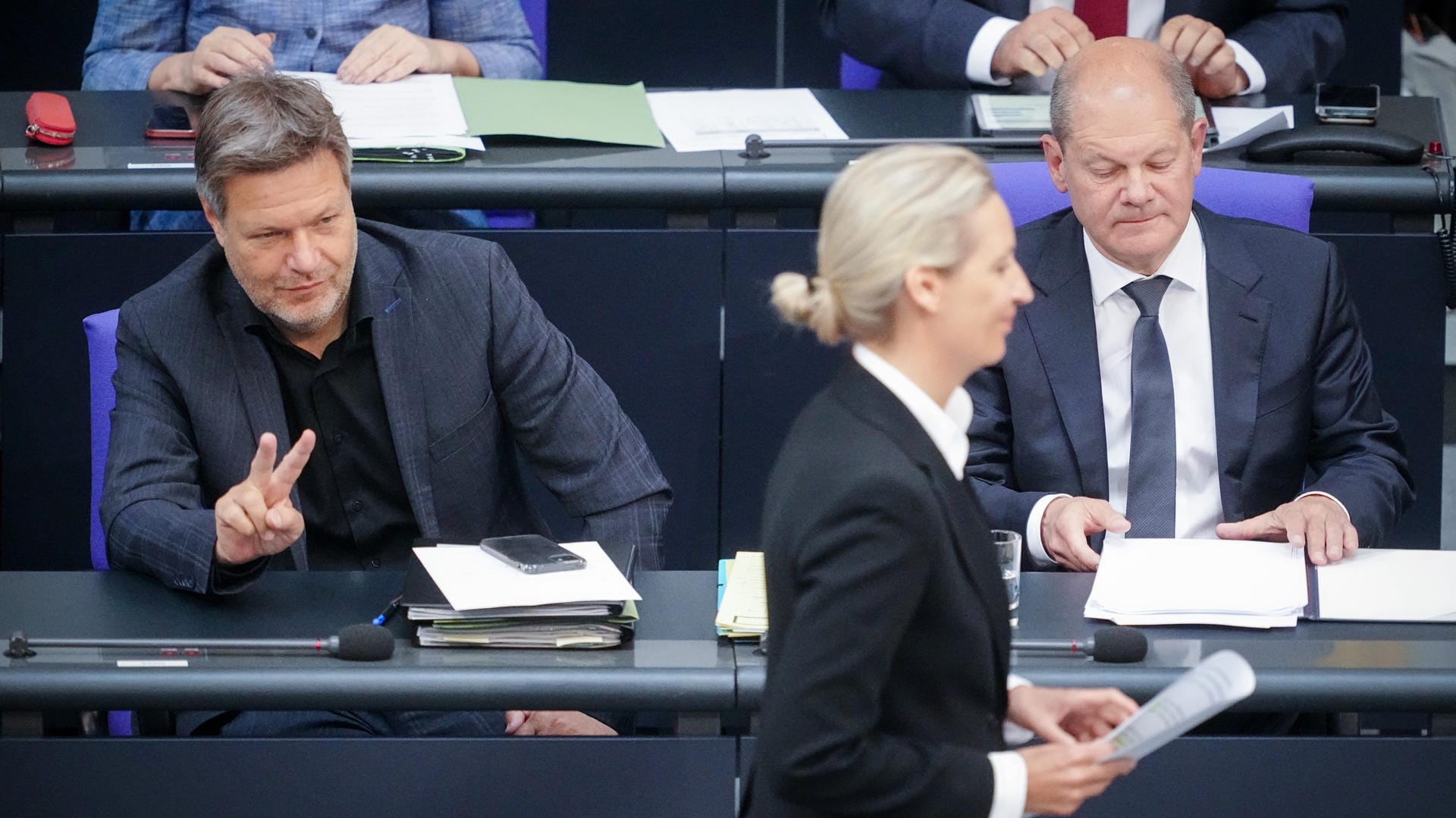 AfD-Frontfrau Alice Weidel vor der Regierungsbank im Bundestag.