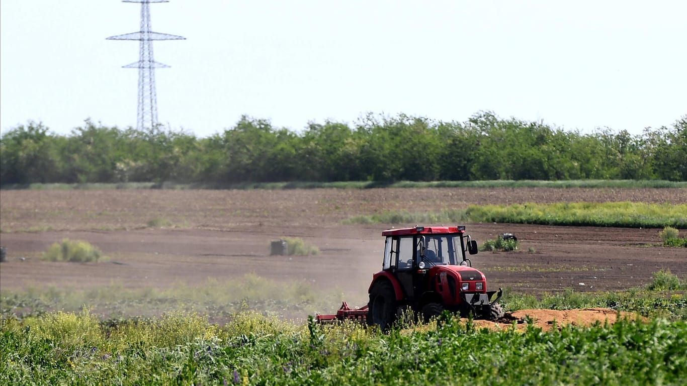Traktor auf dem Feld (Symbolbild): Die Landwirte leiden unter steigenden Preisen bei Düngemitteln und Futtermitteln.