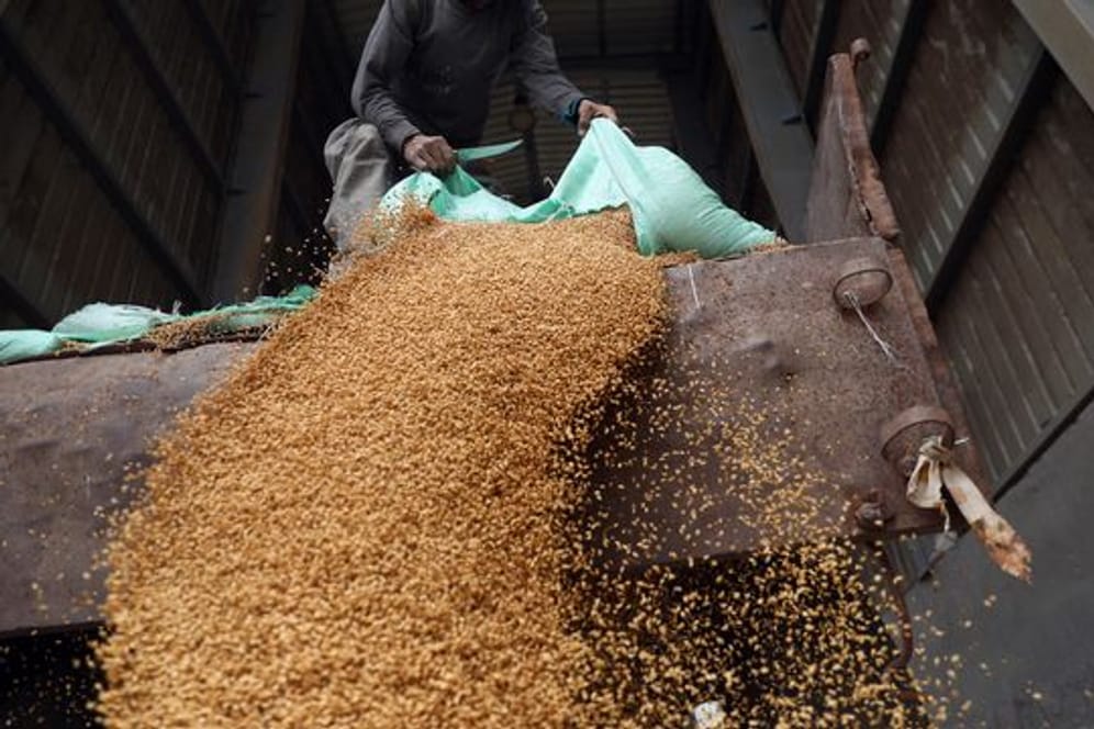 Afrika fehlen Millionen Tonnen Weizen.