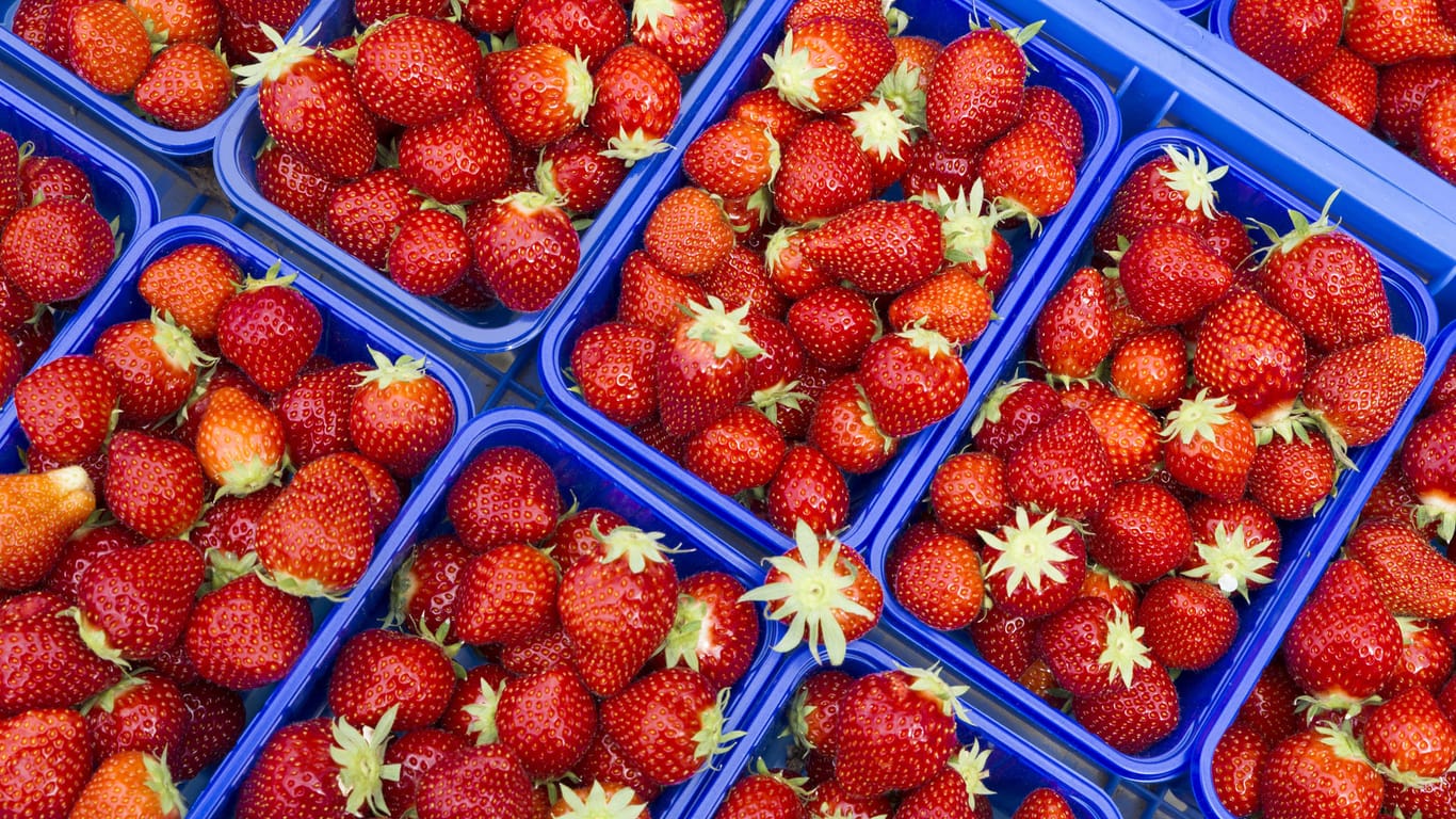 Erdbeeren (Symbolbild): Das Angebot ist gewachsen, die Kunden kaufen aber sehr zurückhaltend.