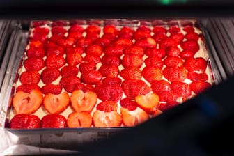 Erdbeerkuchen vom Blech: Für Erdbeerfans ist er ein Genuss.