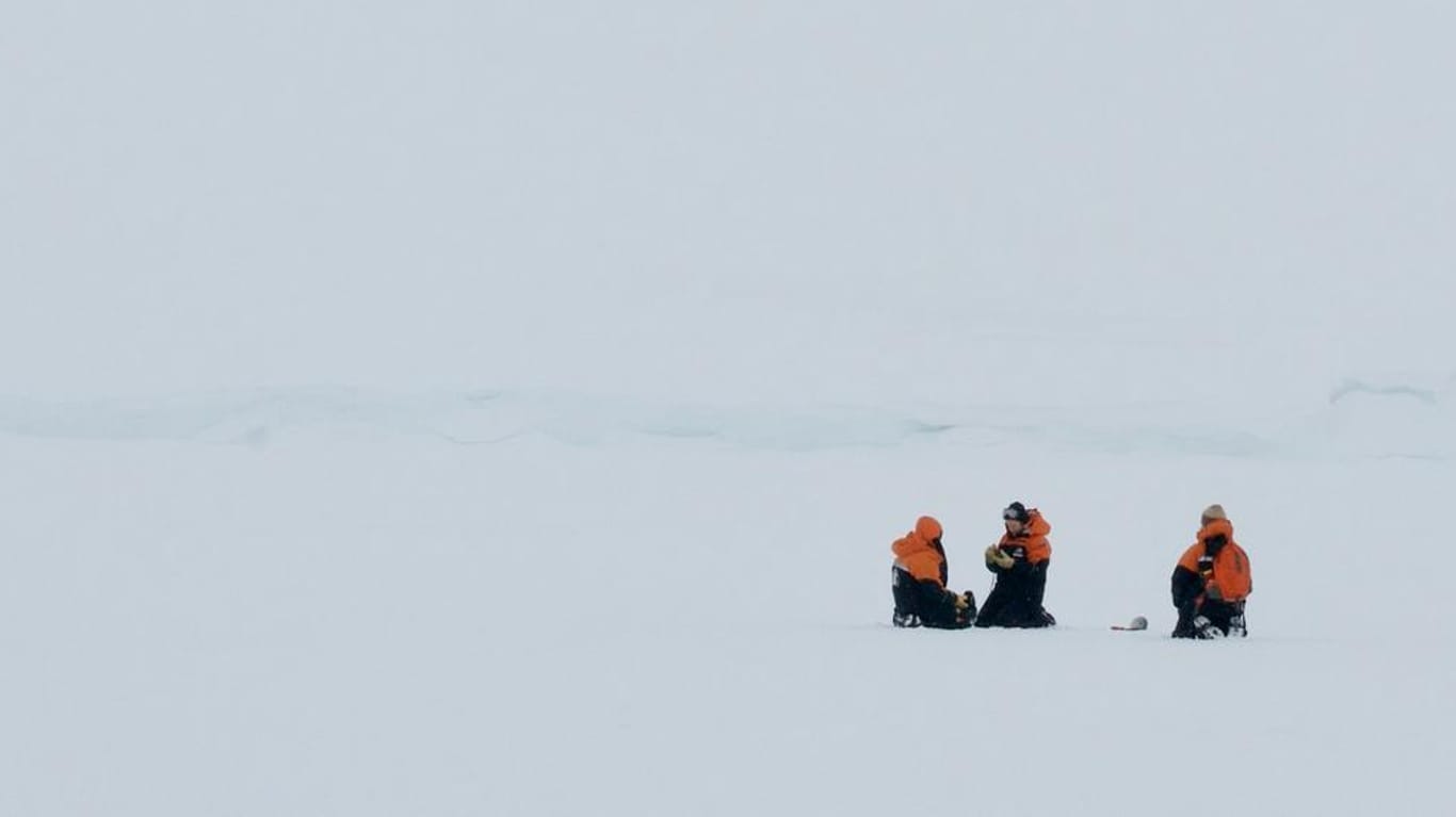 Forscher in der Antarktis: "Mikroplastik im frischen Schnee der Antarktis zu finden, unterstreicht das Ausmaß der Plastikverschmutzung."
