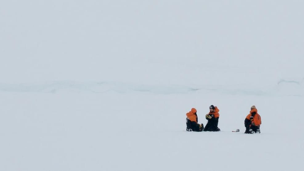 Forscher in der Antarktis: "Mikroplastik im frischen Schnee der Antarktis zu finden, unterstreicht das Ausmaß der Plastikverschmutzung."