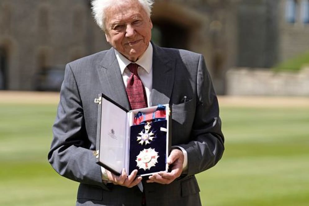 Sir David Attenborough nach seiner Ernennung zum Ritter des Großkreuzes des St.