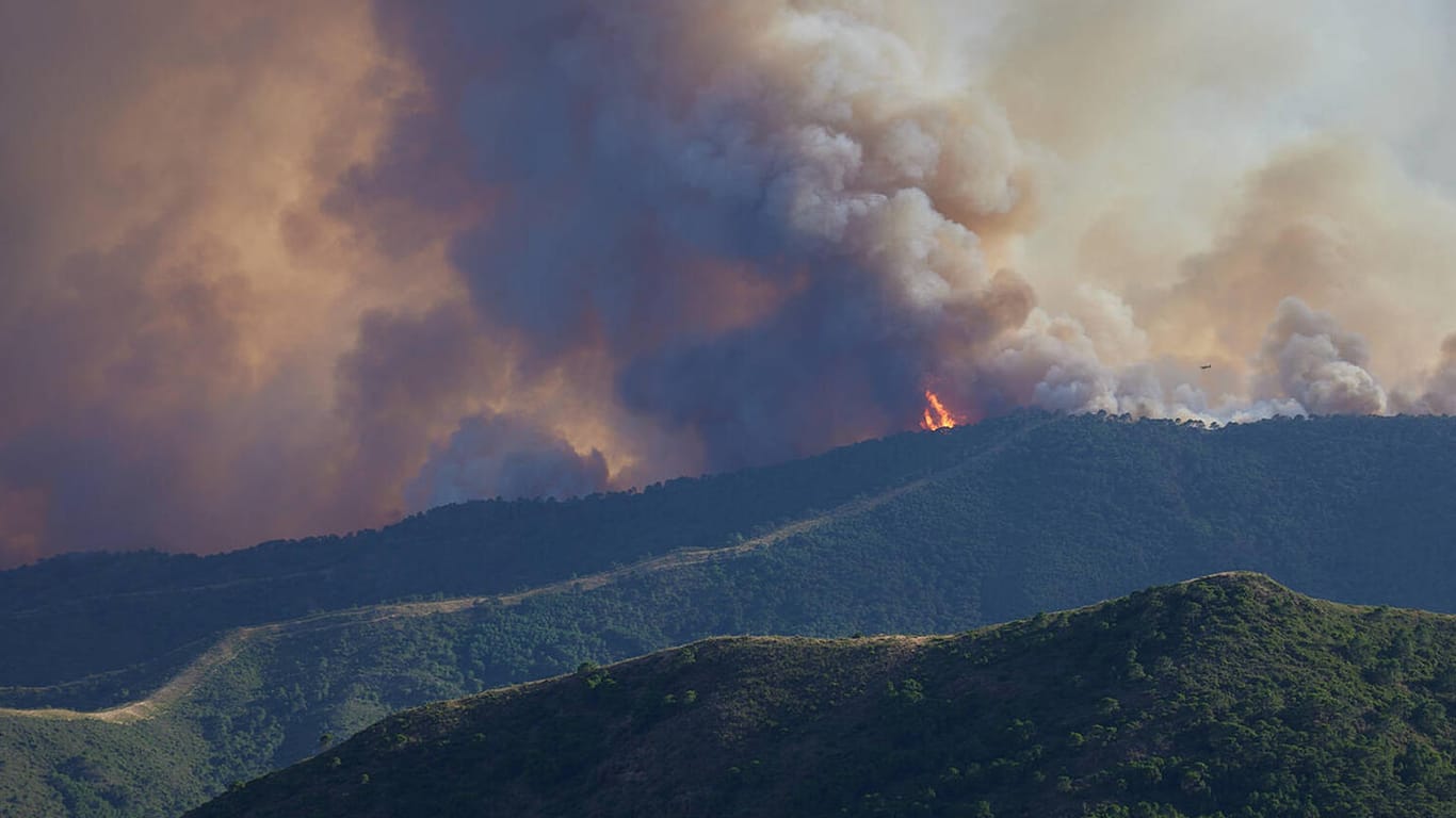 Pujerra, Spanien: Die Ursachen des Waldbrands sind bislang ungeklärt.