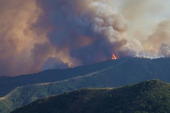 Pujerra, Spanien: Die Ursachen des Waldbrands sind bislang ungeklärt.