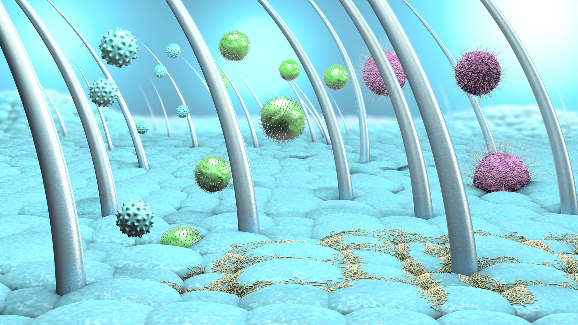 Grafische Darstellung von Viren, Bakterien und Pilzen auf der Kopfhaut. Auf der Kopfhaut können sich Viren, Bakterien und Pilze ansammeln. Das schwächt die Haarwurzeln und begünstigt Haarausfall.