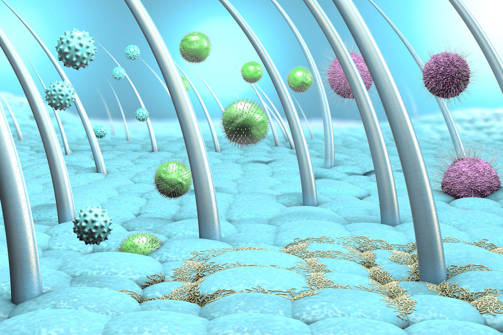 Grafische Darstellung von Viren, Bakterien und Pilzen auf der Kopfhaut. Auf der Kopfhaut können sich Viren, Bakterien und Pilze ansammeln. Das schwächt die Haarwurzeln und begünstigt Haarausfall.