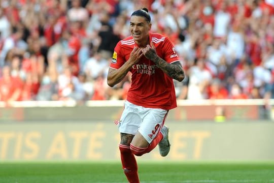 Der FC Liverpool bemüht sich um ihn: Darwin Nunez.