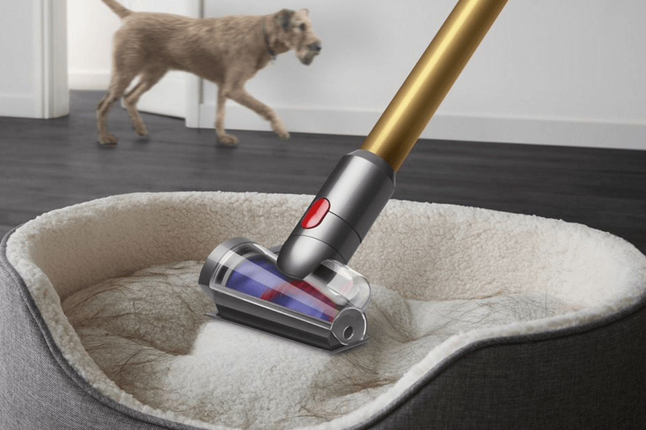 Der Dyson-Akkusauger V12 Slim Motorhead ist heute 100 Euro günstiger als sonst.