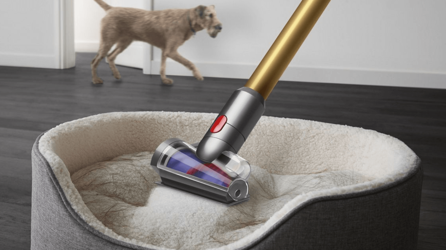 Der Dyson-Akkusauger V12 Slim Motorhead ist heute 100 Euro günstiger als sonst.