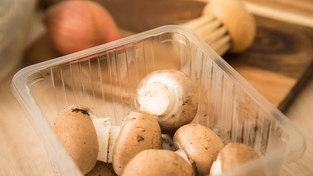 Bei geschlossen Champignonshütchen rieselt noch nichts.