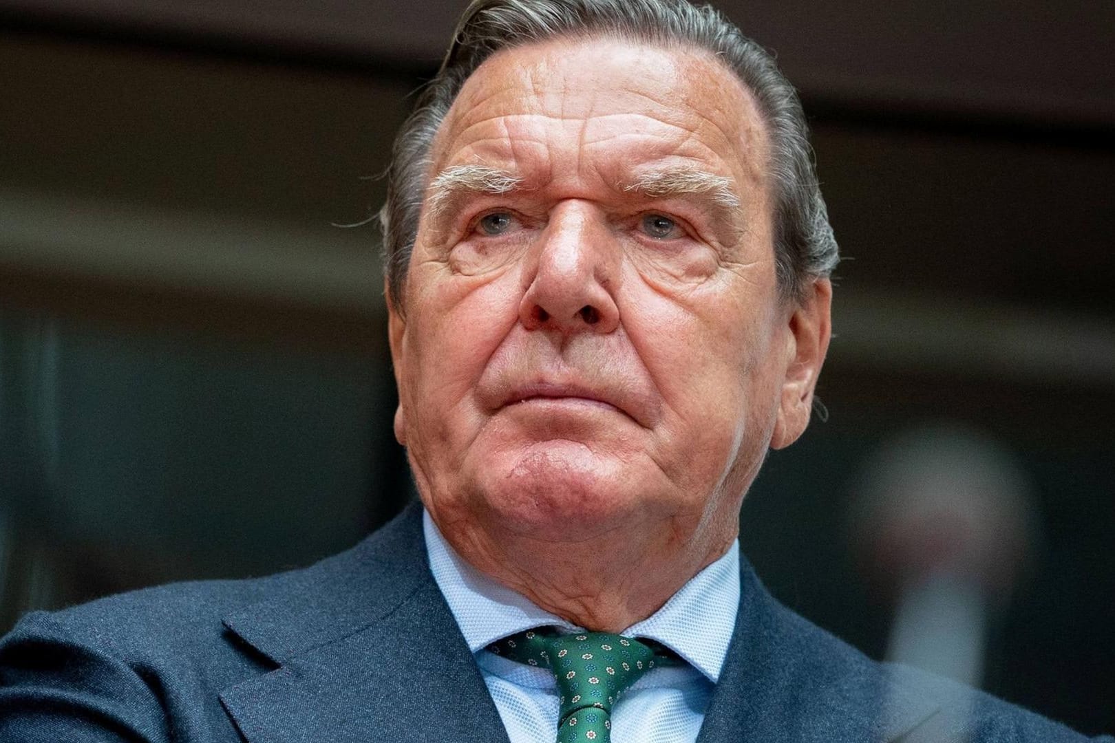 Gerhard Schröder bei einer Veranstaltung: Sei ehemaliger Weggefährte und heutiger Bundespräsident Frank-Walter Steinmeier hat sich von ihm distanziert.