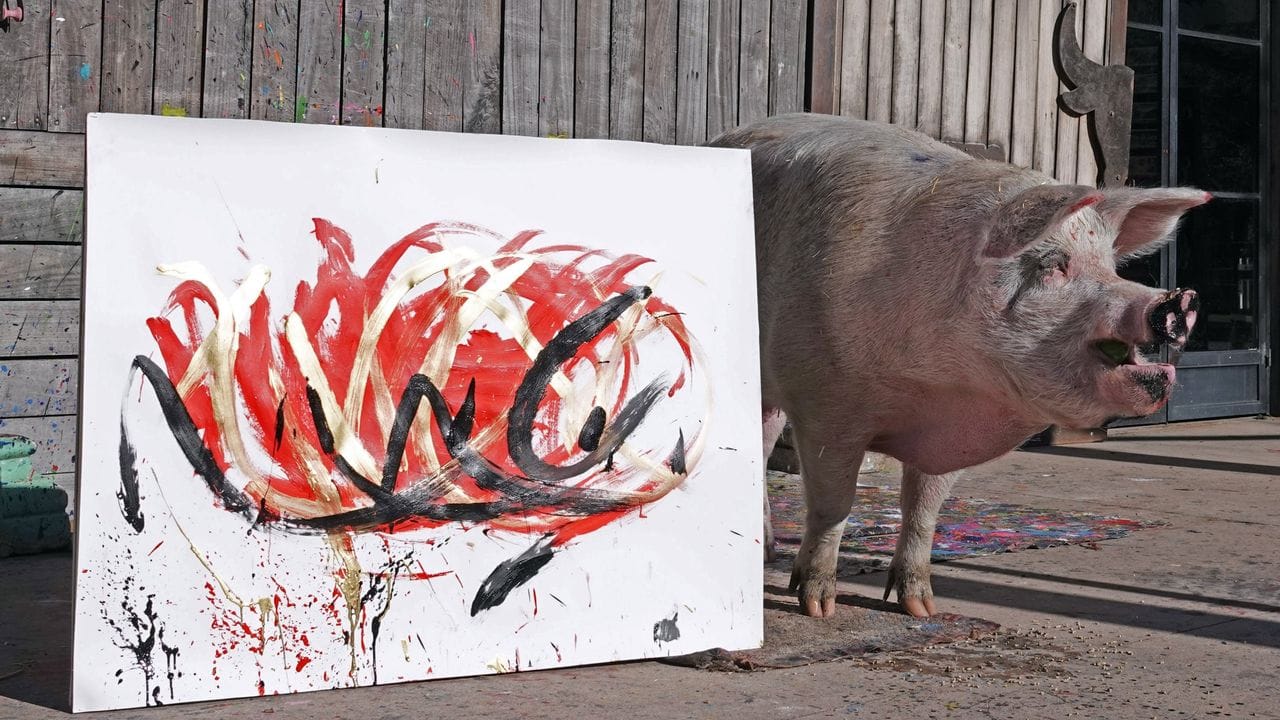 Der Künstler und sein Werk: Ob es wohl Zufall ist, dass Pigcasso in den Deutschland-Farben malt? Schließlich sind die Deutschen seine besten Kunden. Der Künstler und sein Werk: Ob es wohl Zufall ist, dass Pigcasso in den Deutschland-Farben malt? Schließlich sind die Deutschen seine besten Kunden.