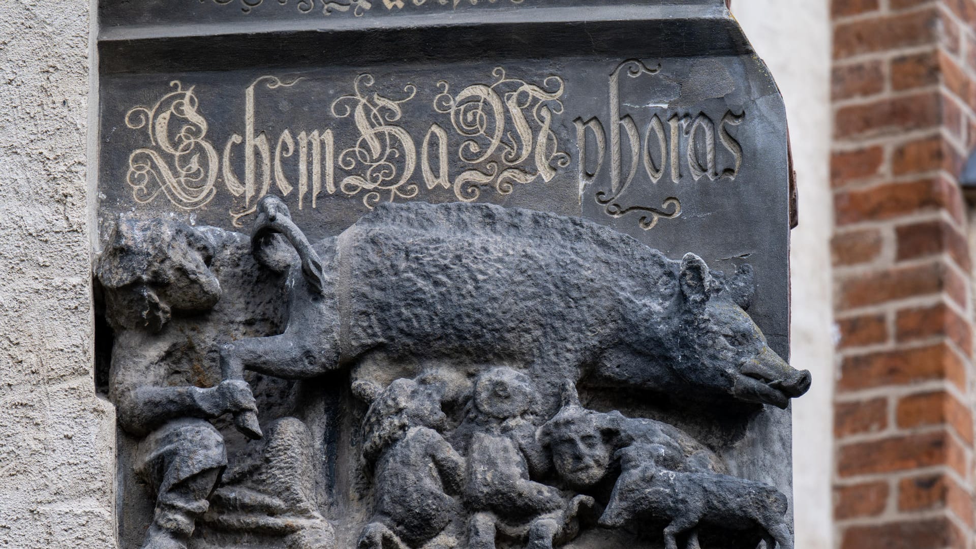 Die als "Judensau" bezeichnete Schmähplastik an der Stadtkirche Wittenberg.