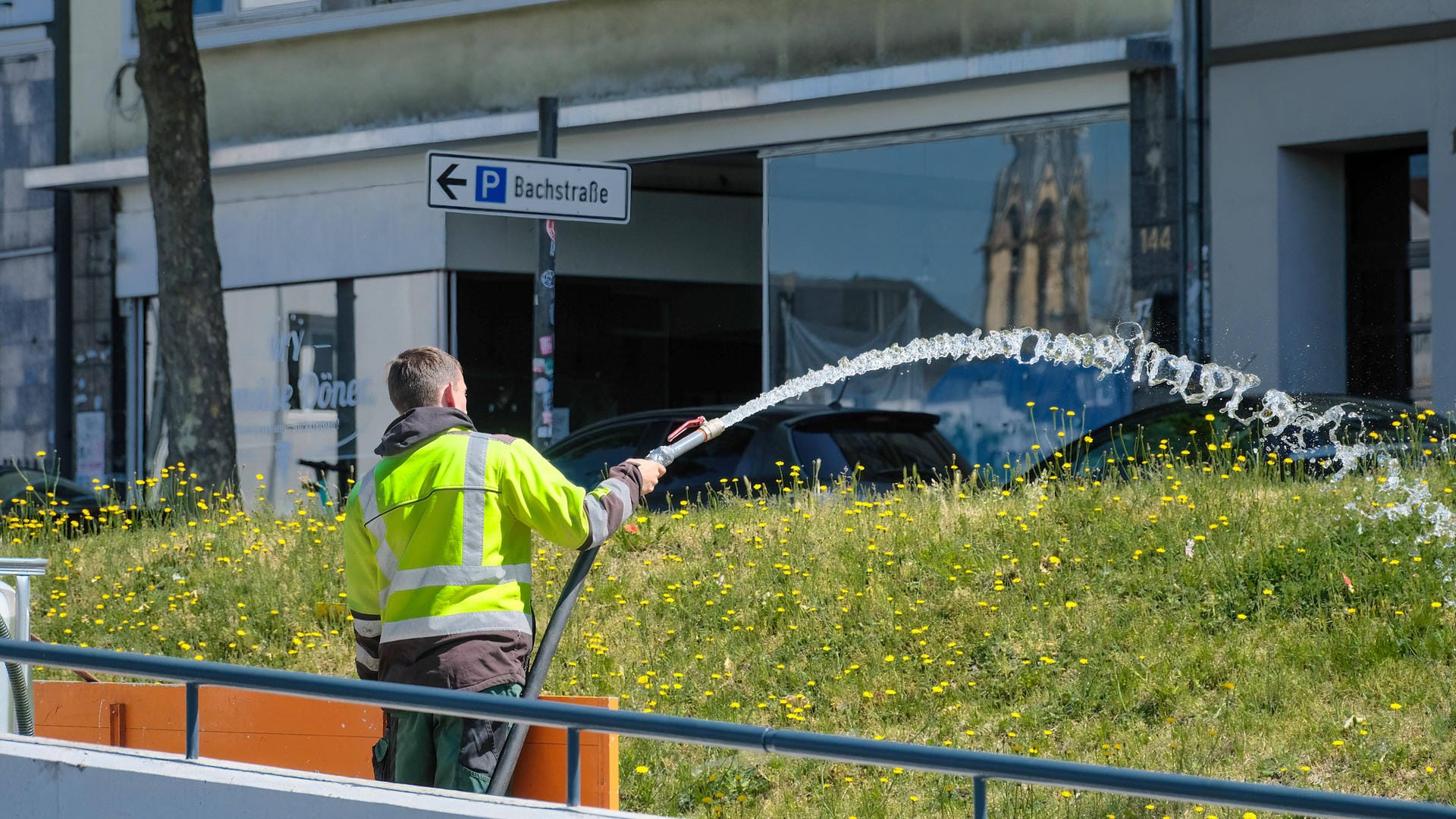 Mit dem Schlauch gegen trockene Tage in der Düsseldorfer Innenstadt: Auch in den Städten zeigen sich die Folgen von mangelndem Niederschlag.