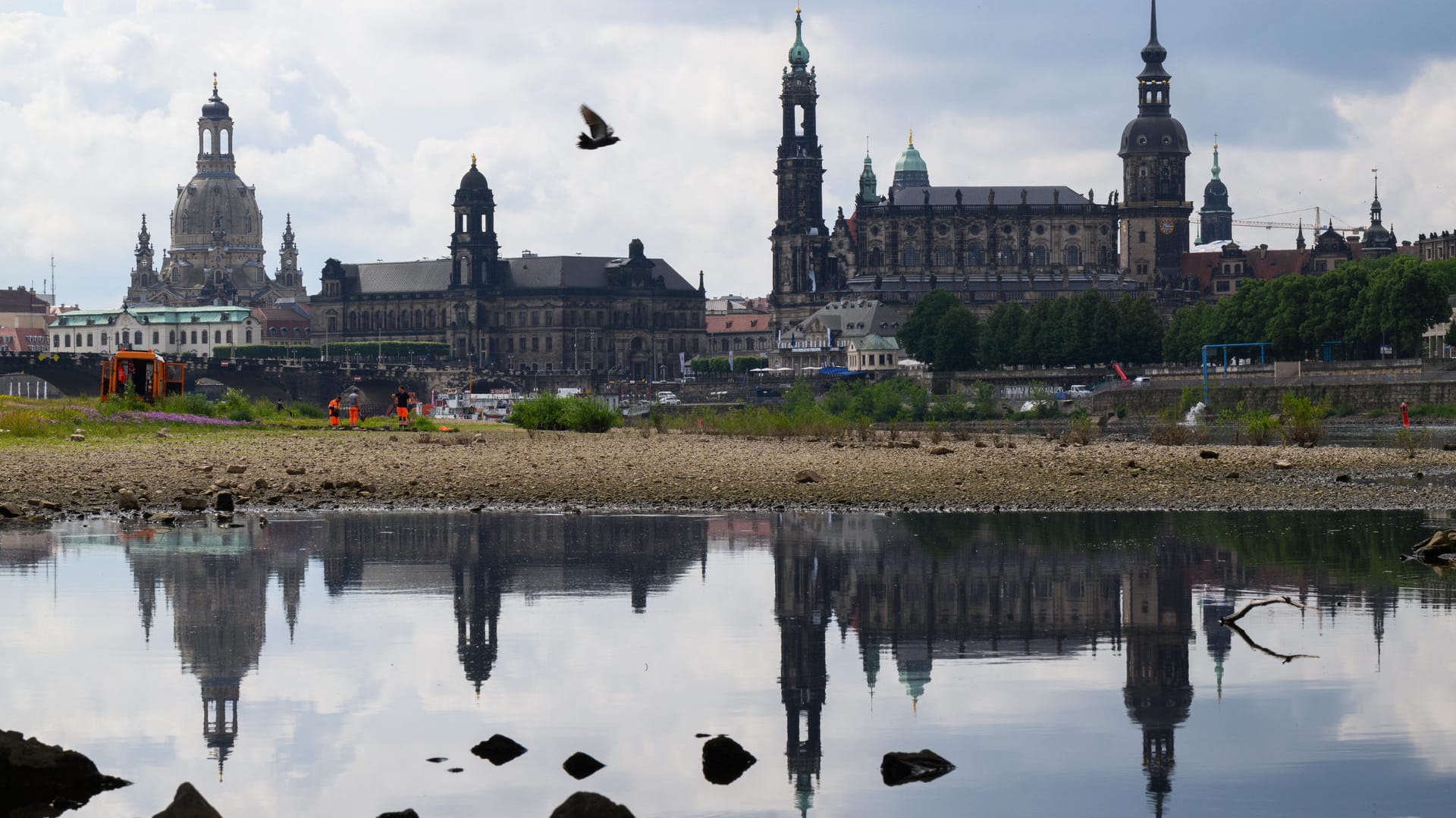 Das Elbpanorama bei Niedrigwasser: Die Wahrscheinlichkeit langer Trockenperioden nimmt mit der fortschreitenden Erderhitzung immer weiter zu.