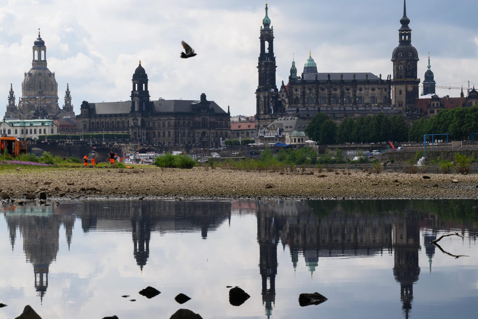 Das Elbpanorama bei Niedrigwasser: Die Wahrscheinlichkeit langer Trockenperioden nimmt mit der fortschreitenden Erderhitzung immer weiter zu.