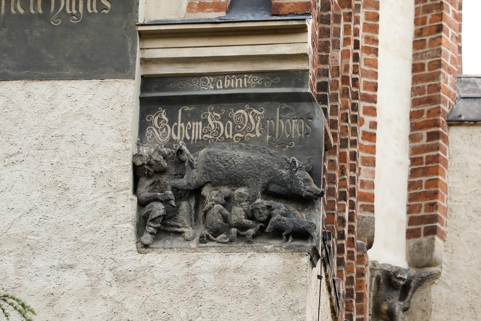 Blick auf die sogenannte "Judensau" an der Stadtkirche in der Lutherstadt Wittenberg über der Südostecke der Chorfassade.