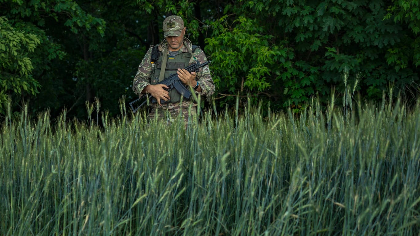 Ein ukrainischer Soldat am Rand eines Weizenfeldes: In vielen Regionen der Ukraine kann die diesjährige Ernte nicht eingefahren werden – die andauernden Kämpfe machen die Arbeit der Landwirte unmöglich.