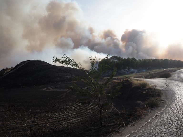 Rauch steigt aus dem Wald im spanischen Tafalla: Durch die Hitzewelle besteht erhöhte Waldbrandgefahr.
